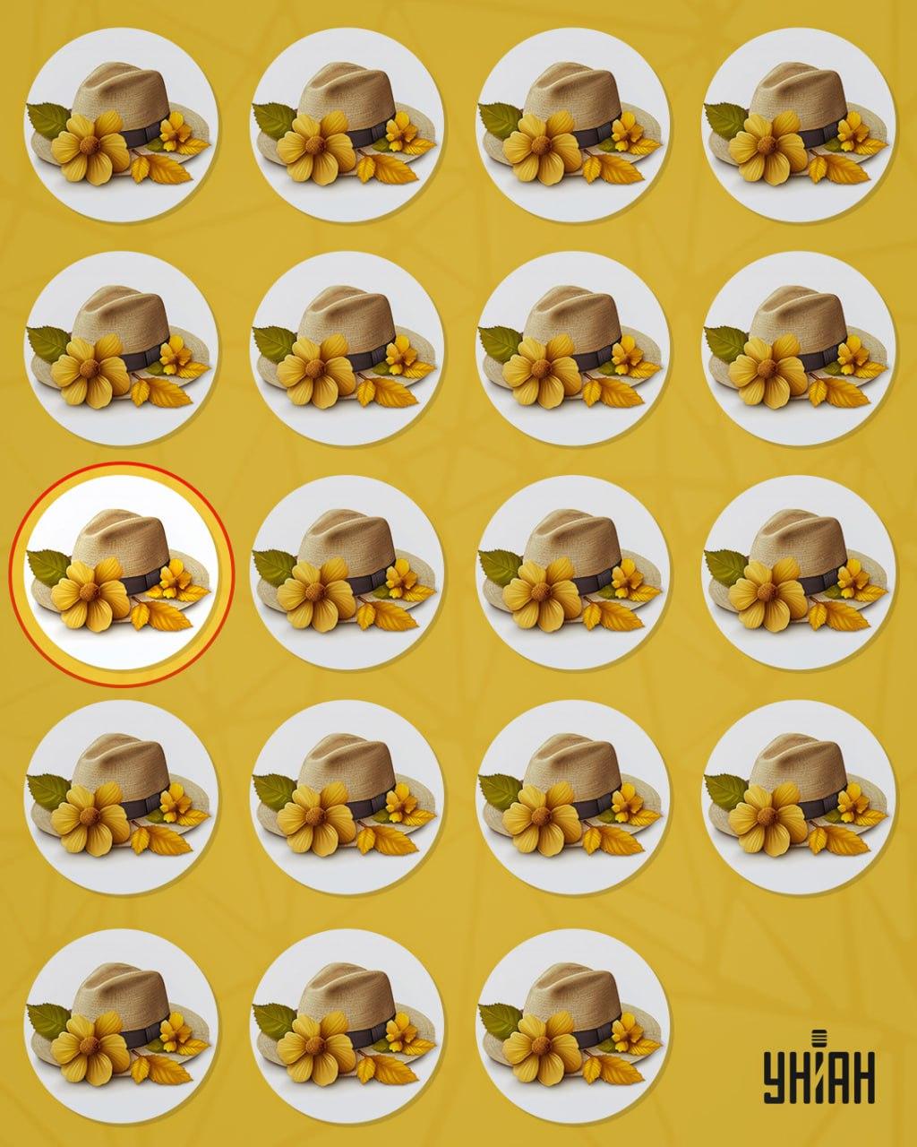 Divný klobúk sa od ostatných odlišoval malým detailom / koláž Moje