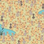 Hádanka pre zábavných a vynaliezavých: musíte nájsť kurča za 7