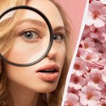 Iba 1 % ľudí dokáže nájsť králika za 11 sekúnd: