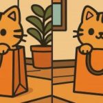 IQ test: nájdite 3 rozdiely na obrázku rozkošnej mačky za 45 sekúnd IQ test: nájdite 3 rozdiely na obrázku rozkošnej mačky za