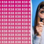 Máte vysoké IQ, ak dokážete rýchlo nájsť číslo 888 medzi stovkami iných. Máte vysoké IQ, ak dokážete rýchlo nájsť číslo 888 medzi